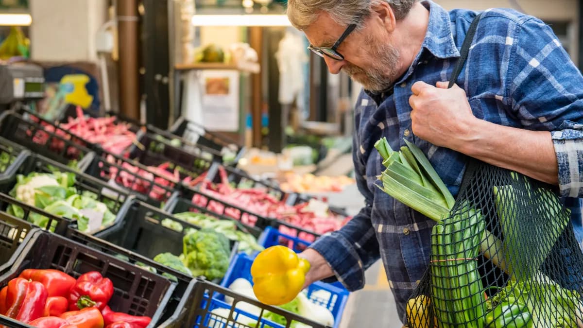 Grocery & Supermarkets